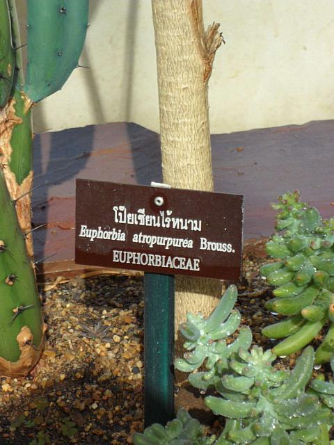SAM 3364