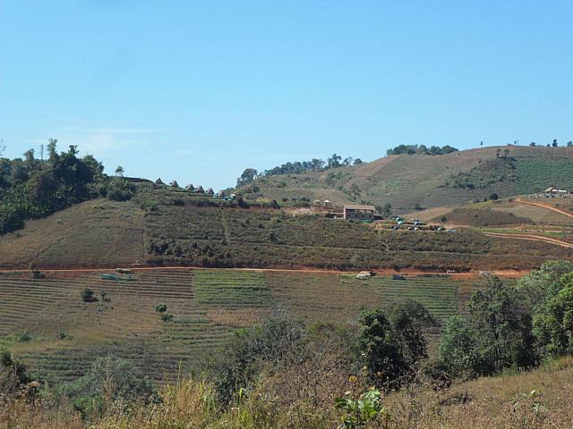 SAM 3401