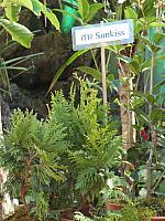 SAM 3272
