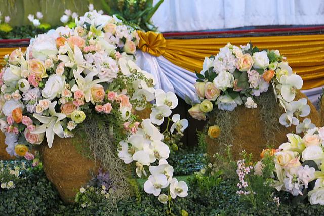 resize IMG 1178