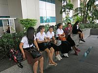 IMG 0044