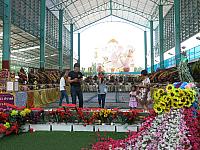 แก้ไขภาพ IMG 6255
