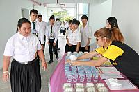 IMG 6527